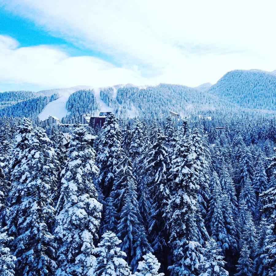Mountain Paradise in Aparthotel Borovets Gardens Buitenkant foto