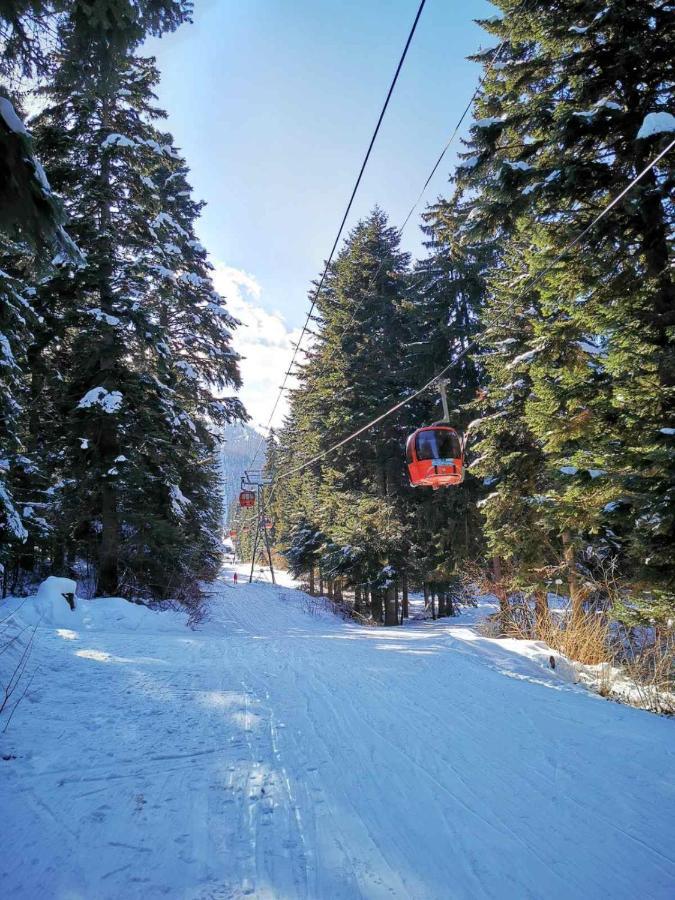 Mountain Paradise in Aparthotel Borovets Gardens Buitenkant foto